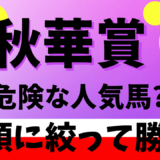 2024年　第29回秋華賞　【過去20年のデータ】傾向と分析、ローテーションから予想