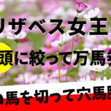 2024年　第49回エリザベス女王杯　【過去20年のデータ】から勝ち馬を予想